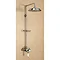 Burlington Wye Anglesey Exposed Valve w Rigid Riser, Straight Arm, 9" Shower Rose & Soap Basket Larg