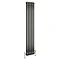 Buxton 1800 x 318mm Raw Metal (Lacquered) 2 Column Vertical Radiator  Profile Large Image