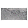 Calvados Grey Gloss Stone Effect Large Format Wall Tiles - 450 x 900mm