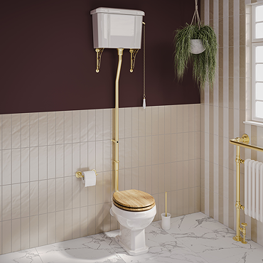 Carlton Brushed Brass Traditional High Level Toilet with Soft Close Seat