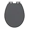 Carlton Graphite Soft Close Toilet Seat with Chrome Hinges Large Image