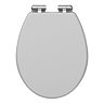 Carlton Dove Grey Soft Close Toilet Seat with Chrome Hinges Large Image