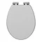 Carlton Dove Grey Soft Close Toilet Seat with Chrome Hinges Large Image