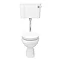 Carlton Traditional Low Level Toilet with Soft Close Seat - Gloss White Large Image