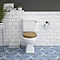 Carlton Traditional Toilet with Soft Close Seat - Various Colour Options Large Image