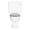 Carlton Traditional Toilet with Soft Close Seat - White Ash Wood Effect Large Image