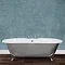 JIG Bisley Fully Polished Cast Iron Roll Top Bath (1690x750mm) with Feet Standard Large Image