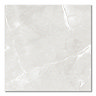Caruso Light Grey Marble Effect Wall & Floor Tiles - 600 x 600mm