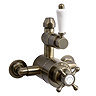 Chatsworth 1928 Antique Brass Exposed Valve incl. Rigid Riser Kit, Diverter, 8" Rose + Handset  Feat