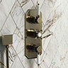 Chatsworth 1928 Antique Brass Traditional Shower w. Concealed Valve, 8" Head + Slide Rail Kit  Featu