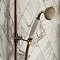 Chatsworth 1928 Antique Brass Traditional Shower w. Concealed Valve, 8" Head + Slide Rail Kit  Newest Large Image