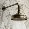Chatsworth 1928 Antique Brass Traditional Shower with Concealed Valve + 8" Head  In Bathroom Large I