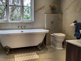 Victorian Plumbing