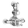 Chatsworth 1928 Twin Exposed Thermostatic Shower Pack (Inc. Valve, Elbow + Fixed Shower Head)  Profi