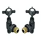 Chatsworth Anthracite Angled Traditional Radiator Valves