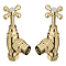 Chatsworth Ashford Gold Angled Traditional Radiator Valves