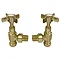 Chatsworth Brushed Brass Angled Traditional Radiator Valves