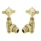 Chatsworth Brushed Brass Angled Traditional Radiator Valves