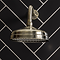 Chatsworth Antique Brass 8" Apron Rose Shower Head with Arm