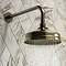 Chatsworth Antique Brass 8" Shower Head with Swivel Joint  Profile Large Image