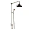 Chatsworth Antique Brass Rigid Riser w. Shower Head, Handshower & Diverter Large Image