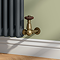 Chatsworth Antique Brass Thermostatic Corner Radiator Valves - Energy Saving