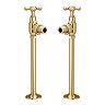 Chatsworth Ashford Gold Angled Traditional Radiator Valves