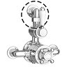Chatsworth Back To Wall Shower Elbow for Exposed Shower Valves  Profile Large Image
