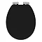 Chatsworth Black Toilet Seat with Quick Release Large Image