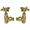 Chatsworth Brushed Brass Angled Traditional Radiator Valves  Feature Large Image