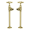 Chatsworth Traditional Angled Radiator Valves and Pipe Set - Brushed Brass