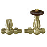 Chatsworth Brushed Brass Thermostatic Straight Radiator Valves - Energy Saving