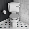 Chatsworth Traditional Corner Toilet + Soft Close Seat Grey