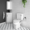 Chatsworth Close Coupled Traditional Toilet + Soft Close Seat