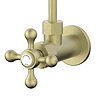 Chatsworth Crosshead Basin Tap Shut Off Valves - Brushed Brass