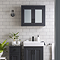 Chatsworth Graphite 2-Door Mirror Cabinet - 690mm Wide with Matt Black Handles