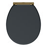 Chatsworth Graphite Soft Close Toilet Seat with Antique Brass Hinge Set
