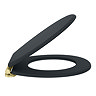 Chatsworth Graphite Soft Close Toilet Seat with Brushed Brass Hinge Set