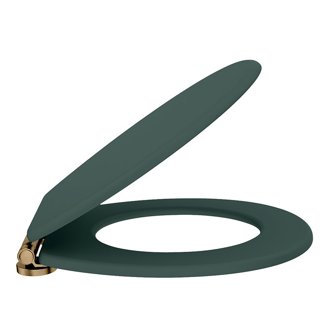 Chatsworth Green Soft Close Toilet Seat with Antique Brass Hinge Set