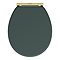 Chatsworth Green Soft Close Toilet Seat with Brushed Brass Hinge Set