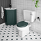 Chatsworth Green Soft Close Toilet Seat with Matt Black Hinge Set