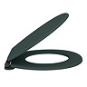 Chatsworth Green Soft Close Toilet Seat with Matt Black Hinge Set