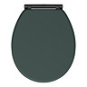 Chatsworth Green Soft Close Toilet Seat with Matt Black Hinge Set