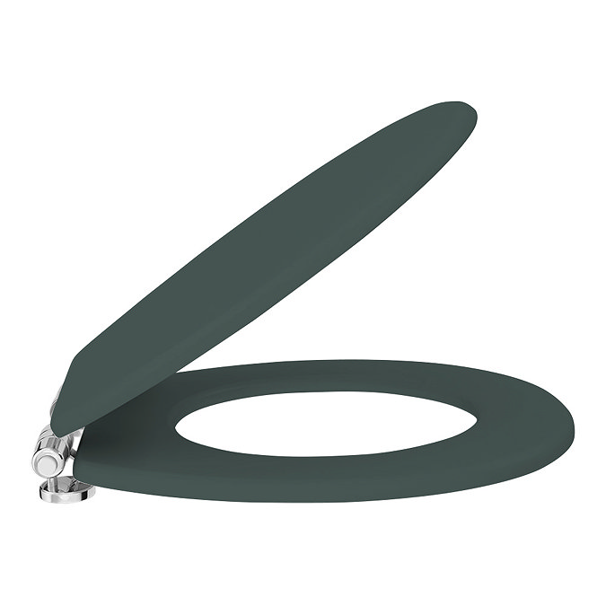 Chatsworth Green Soft Close Toilet Seat  Profile Large Image