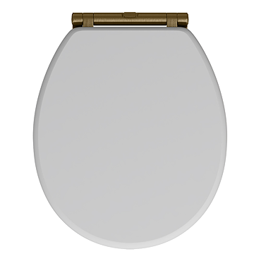 Chatsworth Grey Soft Close Toilet Seat with Antique Brass Hinge Set