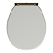 Chatsworth Grey Soft Close Toilet Seat with Antique Brass Hinge Set
