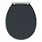 Chatsworth High Level Graphite Roll Top Bathroom Suite additional Large Image