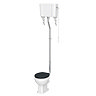 Chatsworth High Level Traditional Toilet w. Graphite Seat Large Image