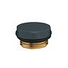 Chatsworth Radiator 1/2" Blanking Plug Anthracite