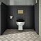 Chatsworth Satin Black Soft Close Toilet Seat with Brushed Brass Hinge Set